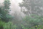 Burrangonglandscaping-irrigation-4.jpg; ?>